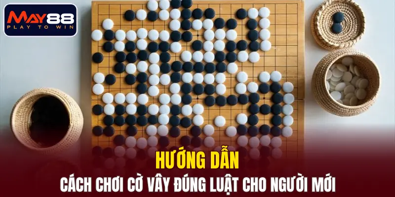 Hướng dẫn cách chơi cờ vây đúng luật cho người mới